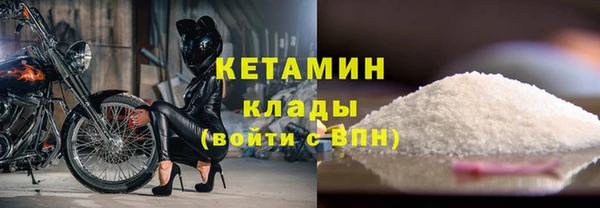 прущие грибы Верхний Тагил