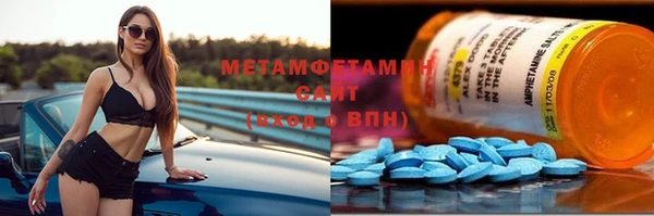 прущие грибы Верхний Тагил