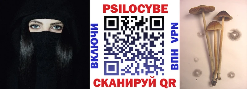 что такое наркотик  darknet как зайти  kraken онион  Псилоцибиновые грибы мухоморы  Кизляр 